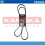 CINGHIA POLY-V 5PK1745 KAMOKA 