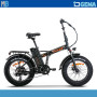 BICI ELETTRICA 250W 36V 10AH